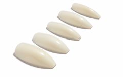 Set of Ardell Nail Addict Natural Ballerina Long Multipack lay in a slant position
